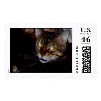 100_0022 SISSY BINK postage