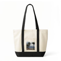 100_0090, Florida bags
