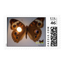 100_0154 postage