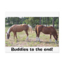 100_0350, Buddies to the end! postcards