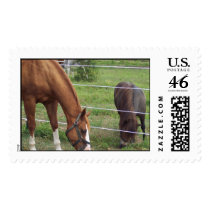 100_0406 postage