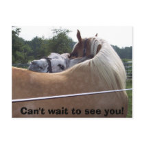 100_0416, Can't wait to see you! postcards by gretchen460 100_0416, Can't wait to see you! postcards