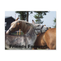 100_0424, Friends Forever! postcards by gretchen460 100_0424, Friends Forever! postcards