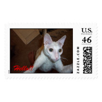 100_0461_0001, Hello!! postage