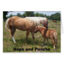 100_0508, Hope and Poncho cards