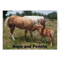 100_0508, Hope and Poncho cards