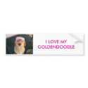 100_0605, I LOVE MY GOLDENDOODLE bumper stickers