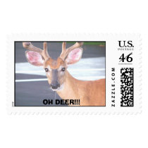 100_0606, OH DEER!!! postage by crrfan 100_0606, OH DEER!!! postage
