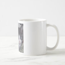 100_0640 mugs
