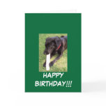 100_0695, HAPPY BIRTHDAY!!! GREETING CARDS