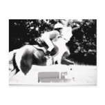 100_0760-1 Hunter/Jumper child Postcard