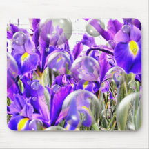 100_0778_fhdr mouse pads