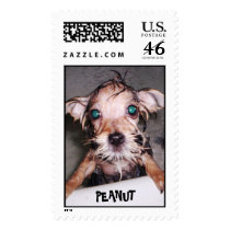 100_0859b, PEANUT postage