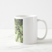100_0918 mugs