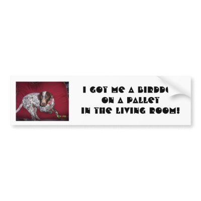 100_1328, I got me a BirddogOn a PalletIn the L... Bumper Sticker by maintrainonline