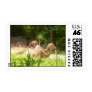 100_1373 - Camels Stamps
