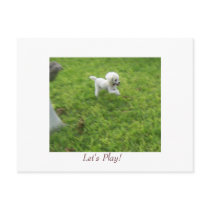 100_1378, Let's Play! postcards by annienbart 100_1378, Let's Play! postcards