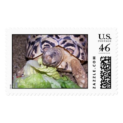 100_1578 POSTAGE by jadeaporche