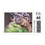 100_1578 POSTAGE