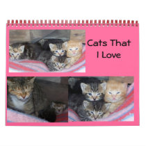 100_1652, 100_1655, 100_1613, Cats That I Love Calendars