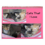 100_1652, 100_1655, 100_1613, Cats That I Love calendars
