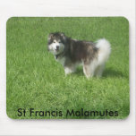 100_1785, St Francis Malamutes Mouse Pad