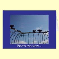 100_2151, Bird's eye view.... cards