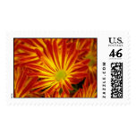 100_2157 STAMPS