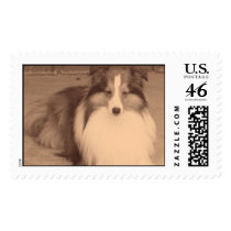 100_2224 postage