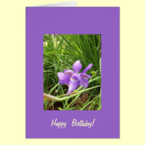 100_2550, Happy  Birthday! cards