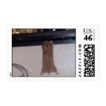 100_2655 - Super Hamster - Stamp