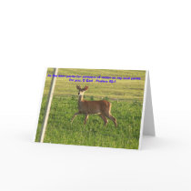 100_3149, As the deer pants for streams of wate... cards by SusanParsons 100_3149, As the deer pants for streams of wate... cards