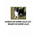 100_3334, Husband and Border Collie lost.. Rewa... t-shirts
