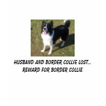 100_3334, Husband and Border Collie lost.. Rewa... Tshirts