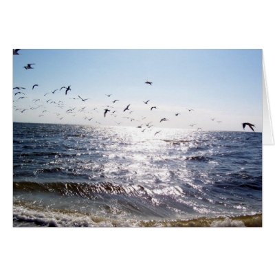 100_3400 GREETING CARDS by foureyedgirl