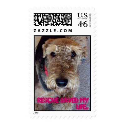 100_4231, Rescue saved my life. Postage Stamp by studioraynaud