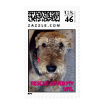 100_4231, Rescue saved my life. postage
