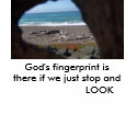 100_5246, God's fingerprint is there if we just... t-shirts