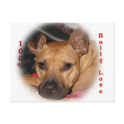 100% Bully Love Postcards by dln1974