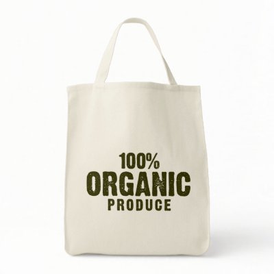 100% ORGANIC CANVAS BAG by artberry
