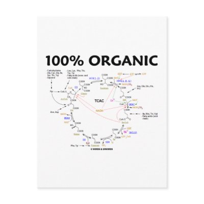 100% Organic (Citric Acid Cycle - Krebs Cycle) Post Cards by wordsunwords