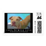 100% pitbull love stamp