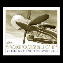100th Anniversary of Flight posters by Helgestyle 100th Anniversary of Flight posters