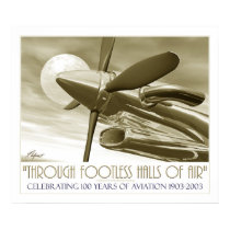 100th Anniversary of Flight posters by Helgestyle 100th Anniversary of Flight posters