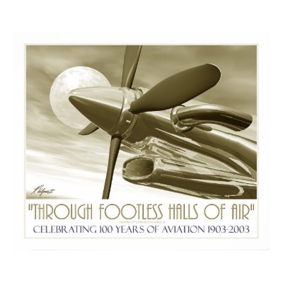 100th Anniversary of Flight Poster by Helgestyle