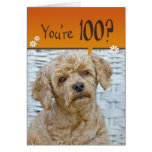 100th Birthday Card