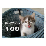 100th Birthday Crazy Kitten Greeting Cards