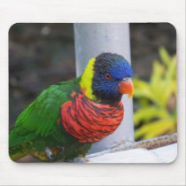 101_0198 mousepads