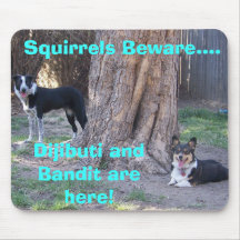 101_4627 copy, Squirrels Beware...., Dijibuti a... Mouse Mat