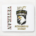 101st Airborne Division OIF Veteran mousepads